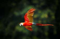 Excursión al Aviario Nacional de Colombia