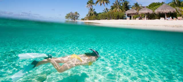 Excursión a la Isla Cholón