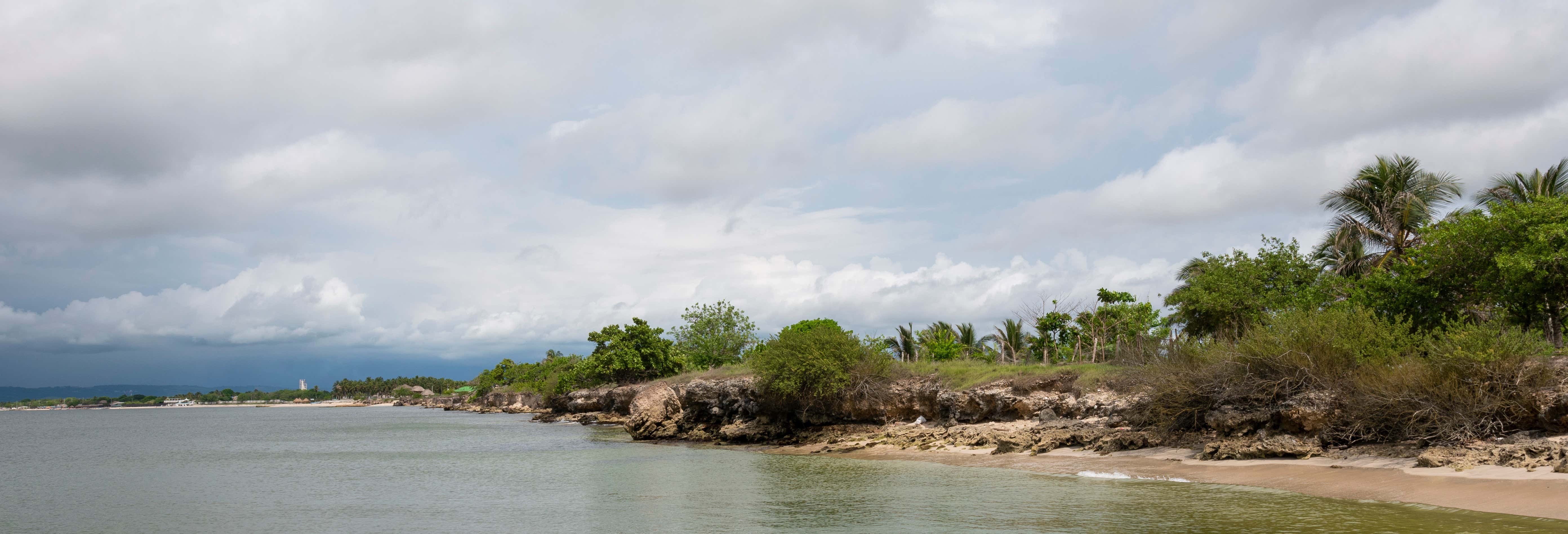 Excursão ao Palmarito Beach