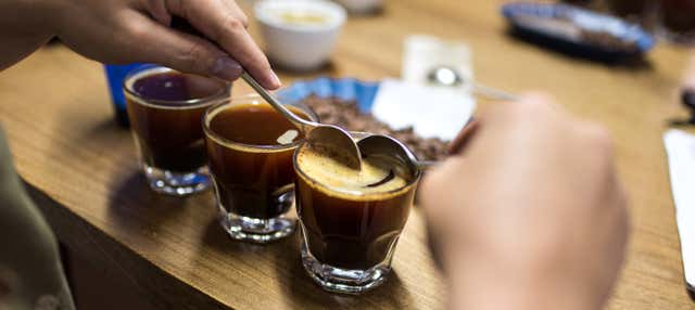Cartagena: Coffee & Tobacco Free Walking Tour