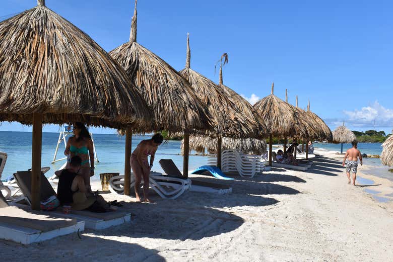 Excursión a la isla Palma
