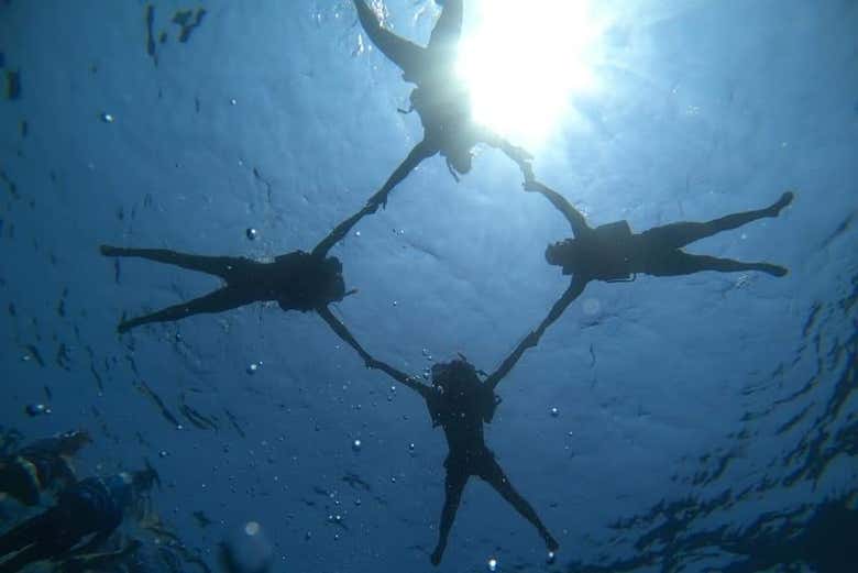 Buceo en los barcos hundidos de Barú