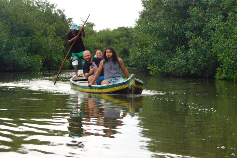 Excursión al volcán del Totumo y manglares de Cartagena