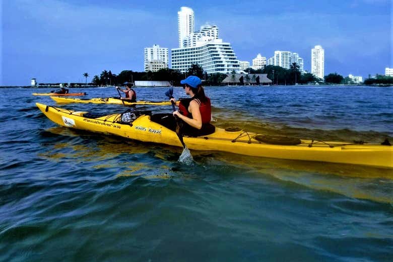 Tour en kayak por Tierra Bomba