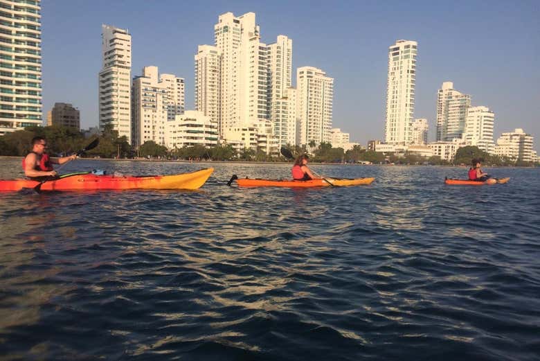 Tour en kayak por Punta Arena