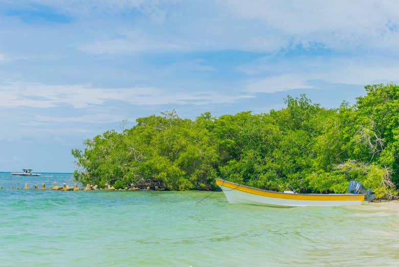 Snorkel en las Islas del Rosario + Pueblo nativo de Orika