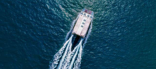Paseo en catamarán con espectáculo folclórico o DJ