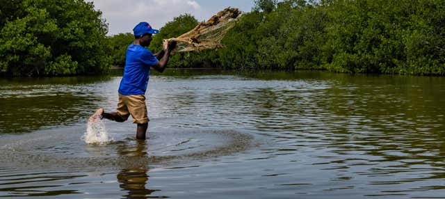 Pesca al granchio tra le mangrovie di Cartagena de Indias