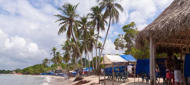 Snorkel en las Islas del Rosario + Pueblo nativo de Orika