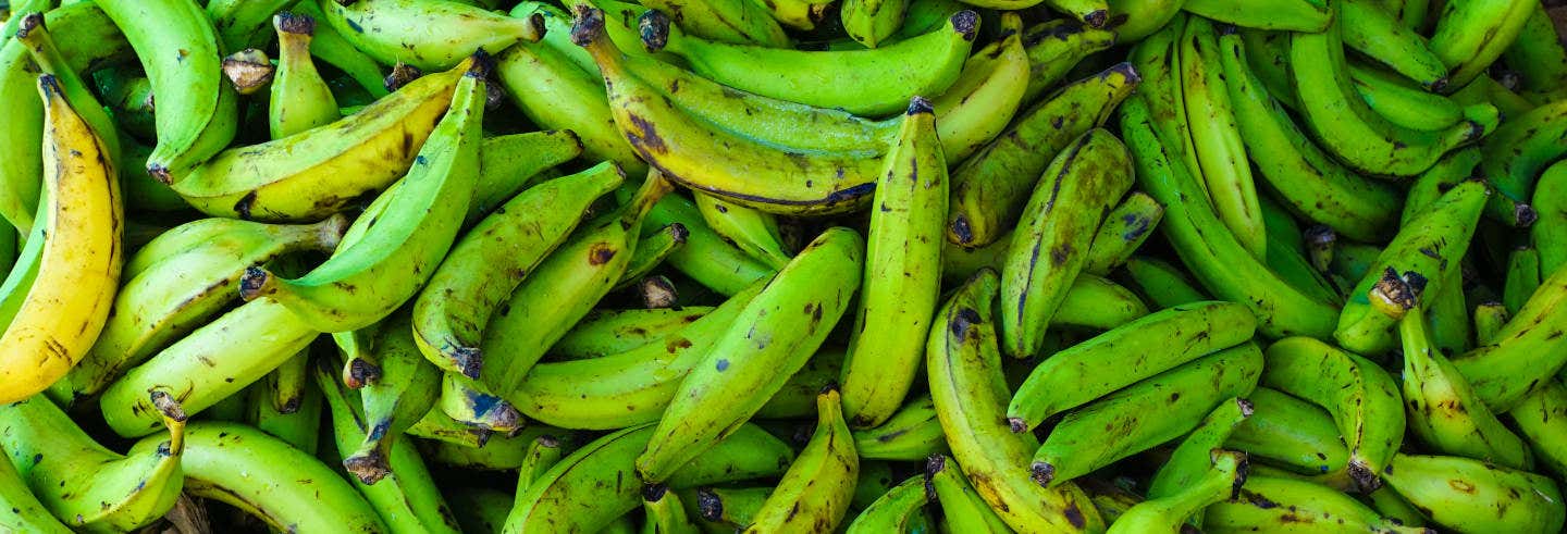 Tour del Mercato di Bazurto