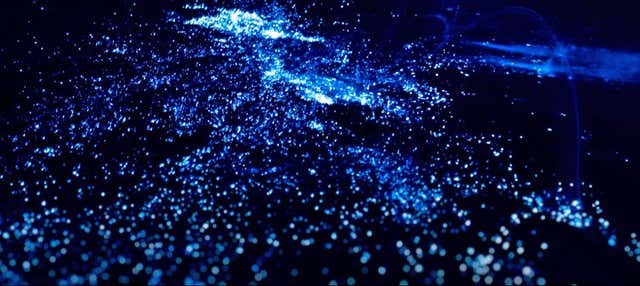 Tour del plancton luminoso + Beach club di Barú