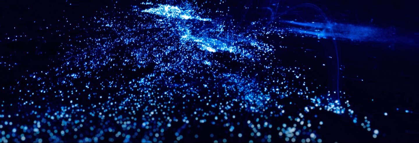 Tour del plancton luminoso + Beach club di Barú