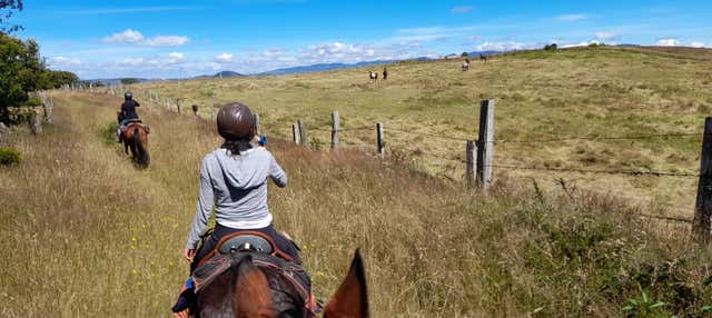 Escursione alla laguna di Suesca a cavallo
