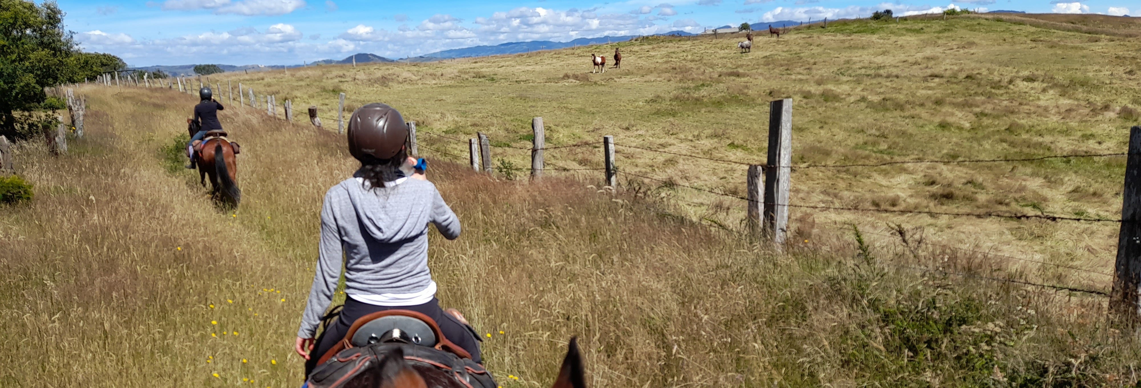 Lake Suesca Horse Riding Tour