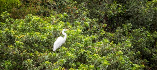 Giro in barca sulla Vía Parque Isla de Salamanca