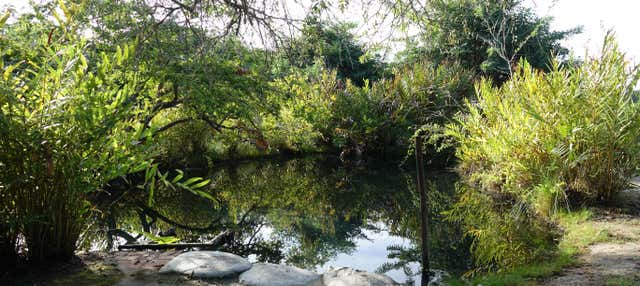Excursão às termas El Volcán