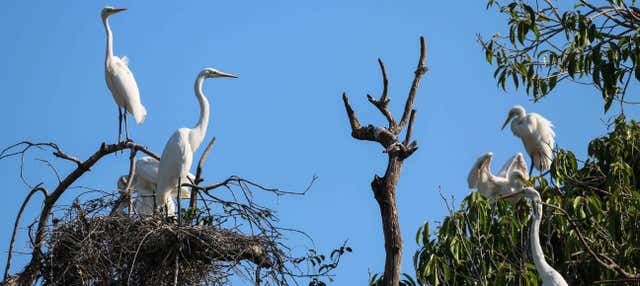 Trekking sulla Via Parque Isla de Salamanca
