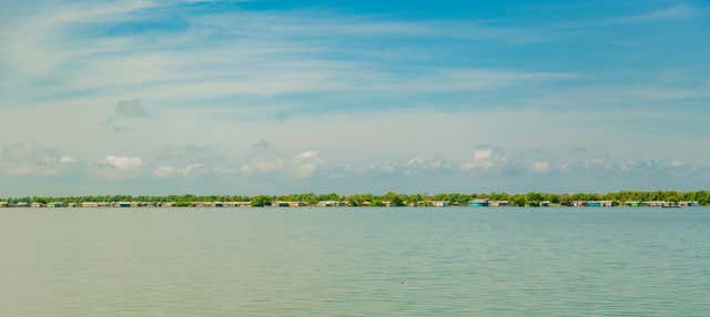 Tour por la Ciénaga Grande de Santa Marta