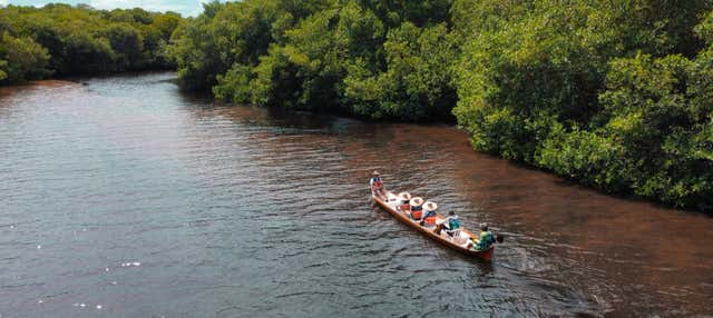 Giro in barca nella palude di La Caimanera