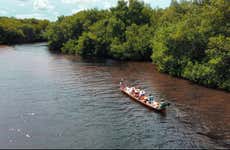 Passeio de barco pela Ciénaga La Caimanera