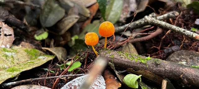 Escursione a Barbas Bremen