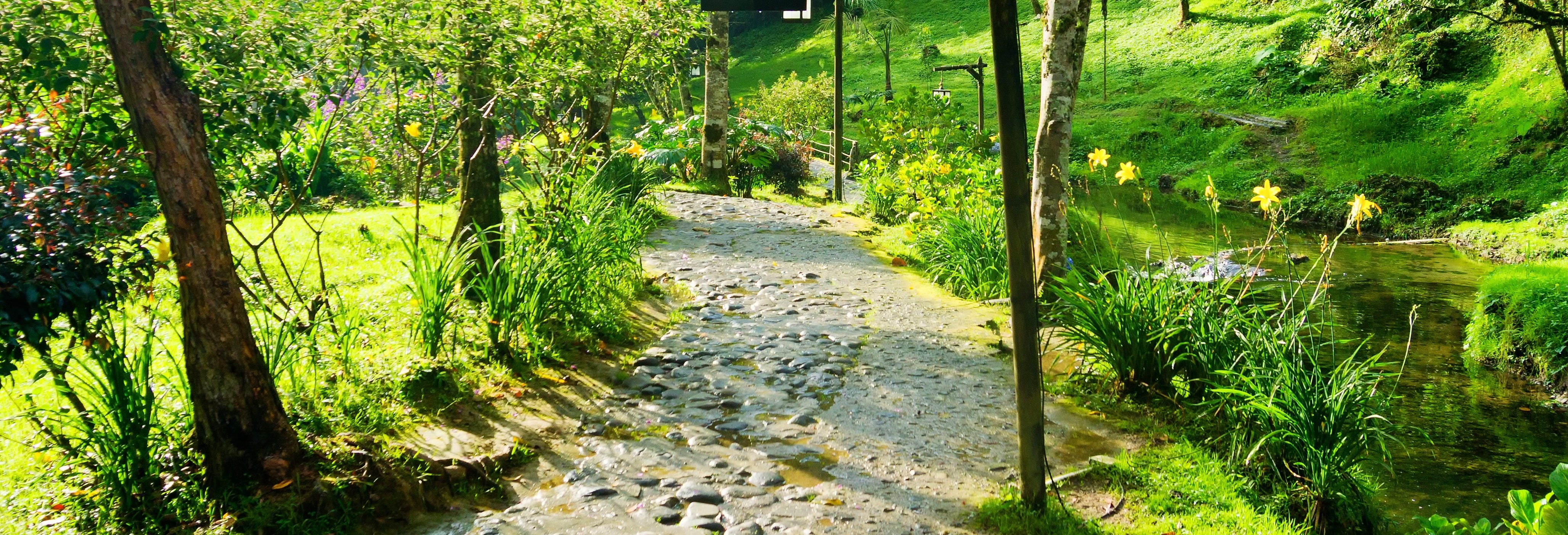 Santa Rosa de Cabal Hot Springs Private Day Trip