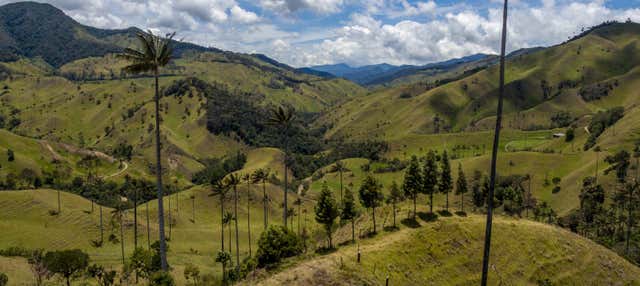 Escursione privata nella Valle del Cocora + Passeggiata a cavallo