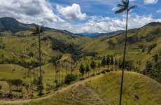 Cocora Valley Private Day Trip & Horse Riding