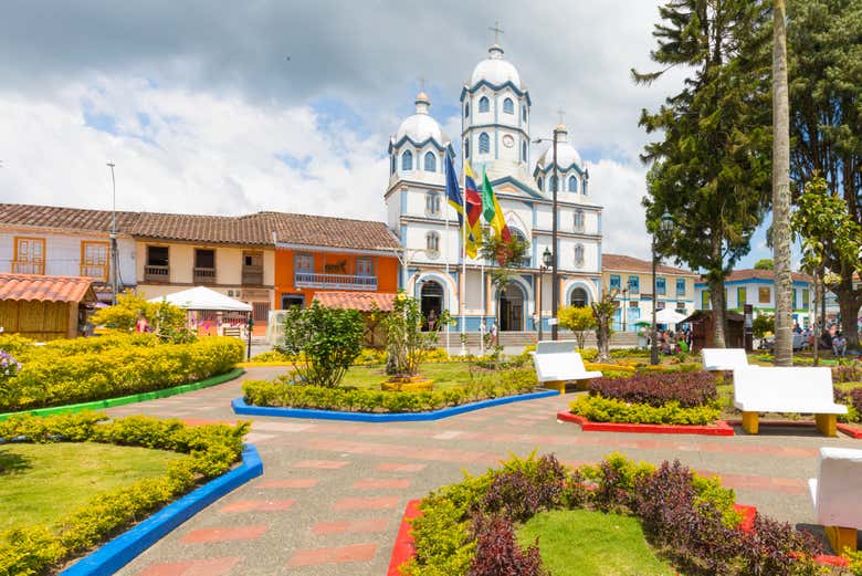 Imagen 5