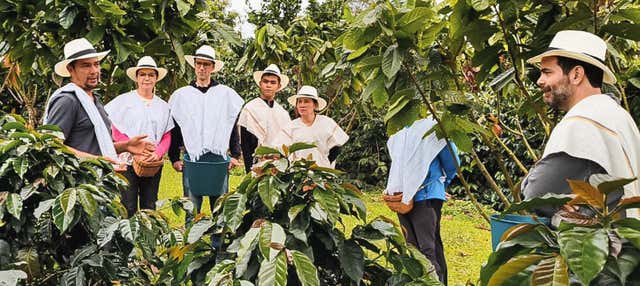 Visita alla tenuta Casa Laureles
