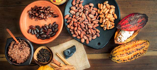 Tour del cacao a San Rafael