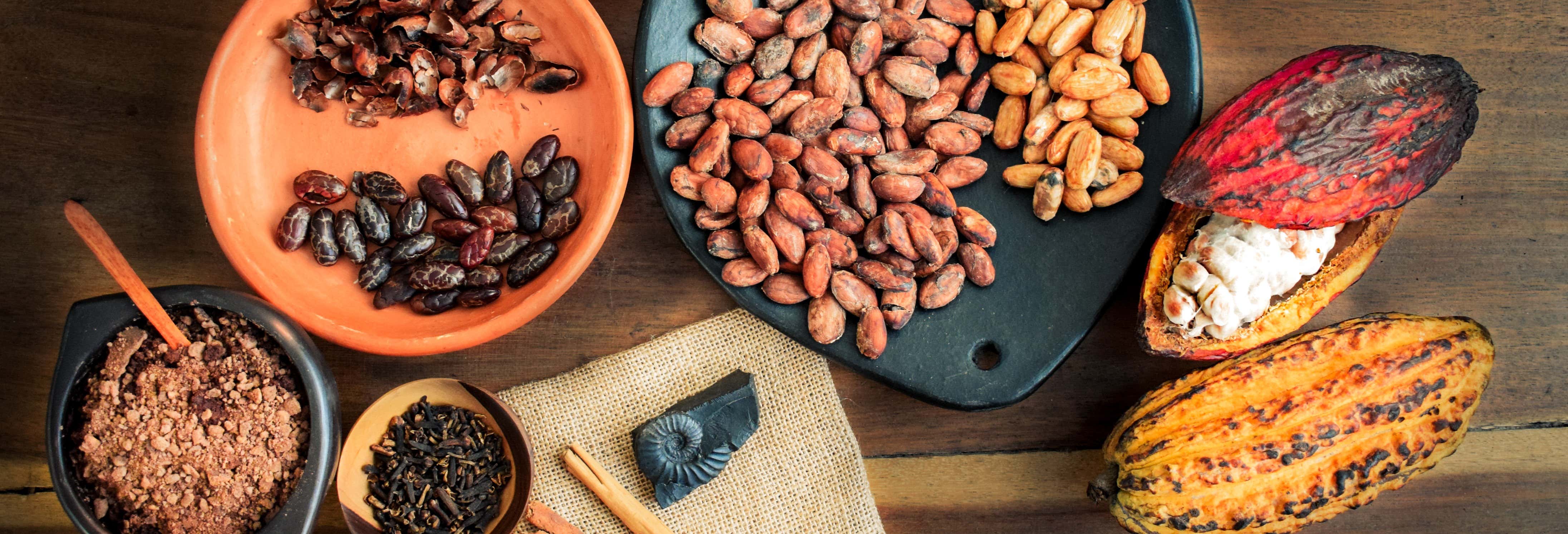 Tour del cacao a San Rafael