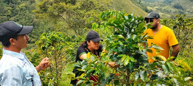 Tour del caffè a San Rafael