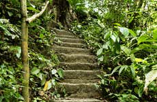 Excursion to the Lost City of Falan