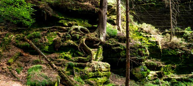 Escursione alla tenuta di Cent'anni di solitudine