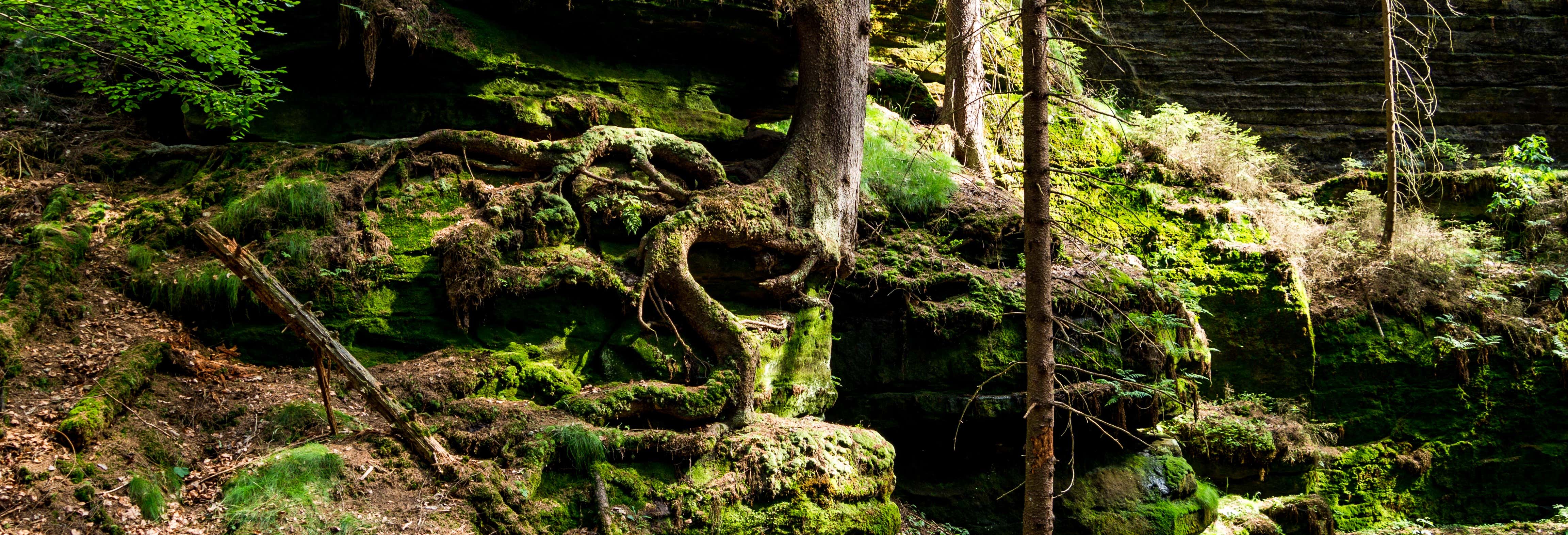 Escursione alla tenuta di Cent'anni di solitudine