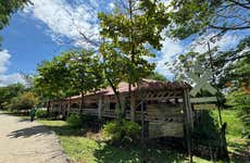 Day Trip to Arroz National Park