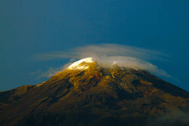 Imagen 4