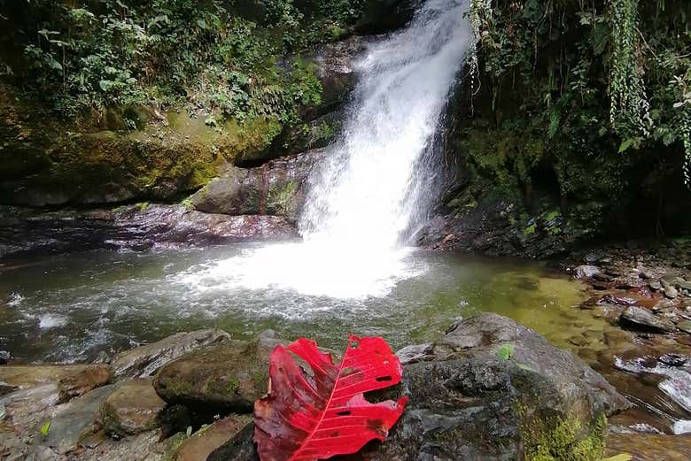 La Platica Waterfall - La Platica Waterfall