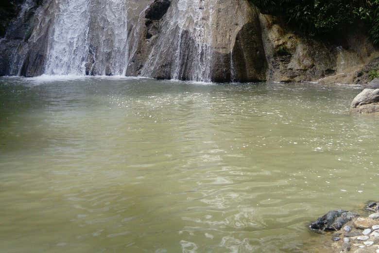Imagen 7