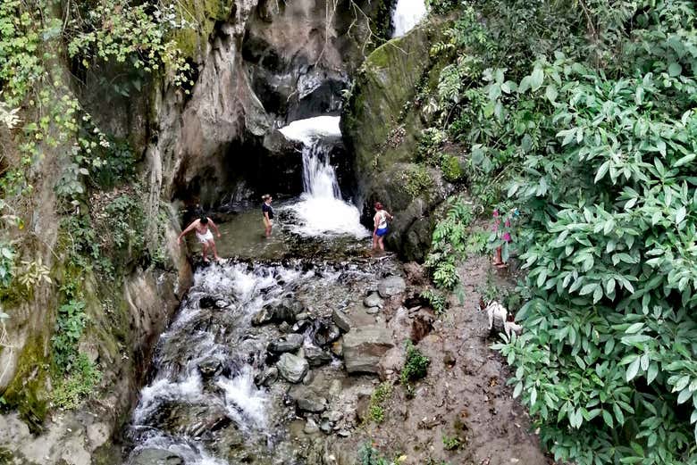 Imagen 5