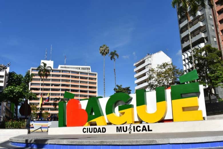 Imagen 8