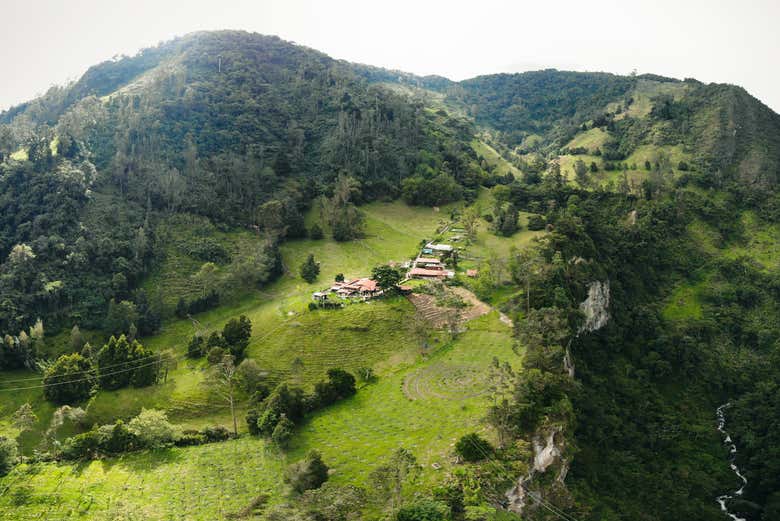 Imagen 5