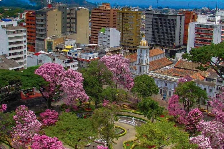Imagen 4
