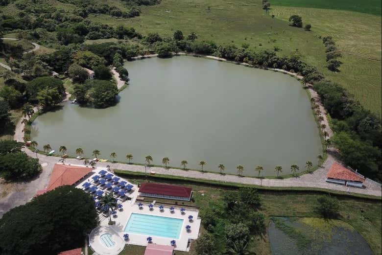 Imagen 5