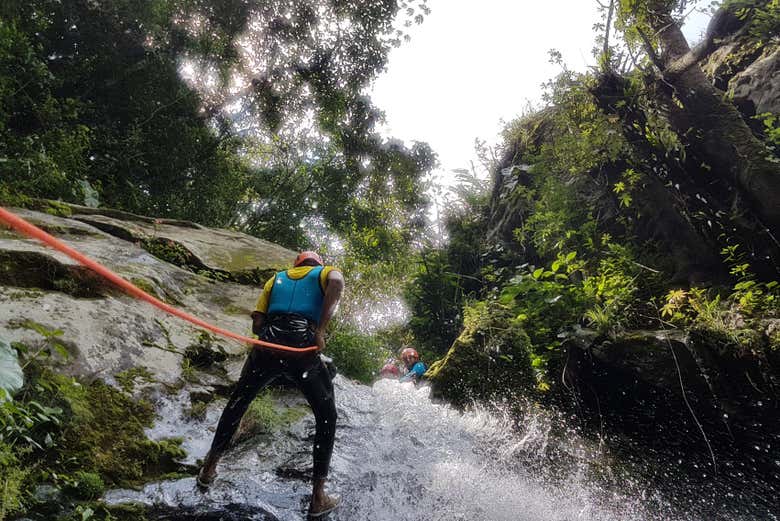 Imagen 4