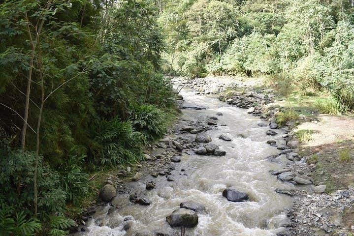 Imagen 3