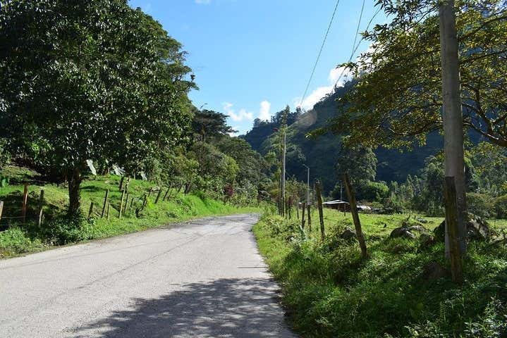 Imagen 2