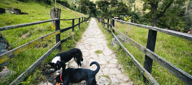 Trekking al Canyon del Combeima e Casa Loma