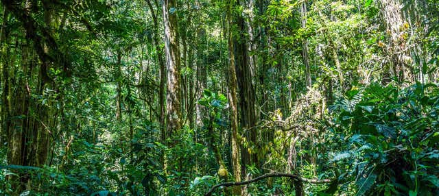 Escursione alla Riserva naturale di Entreaguas